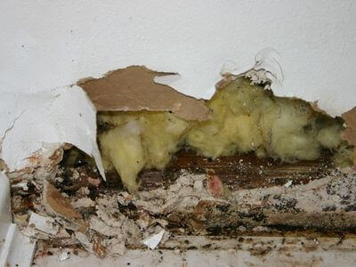 About Water Damage Restoration Downtown Denton - water damage restoration experts in Downtown Denton